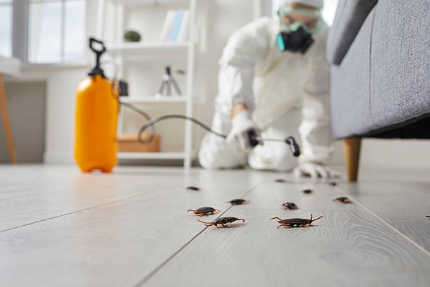 Commercial Kitchen Cockroach Control in Suncrest